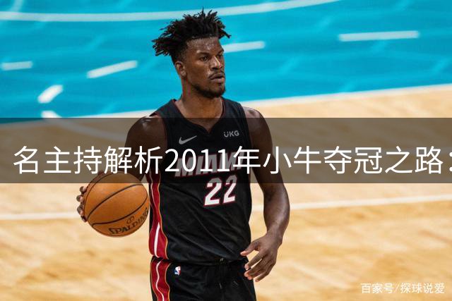 名主持解析2011年小牛夺冠之路：实力不容小觑